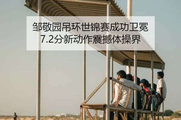 邹敬园吊环世锦赛成功卫冕 7.2分新动作震撼体操界